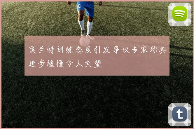 莫兰特训练态度引发争议专家称其进步缓慢令人失望