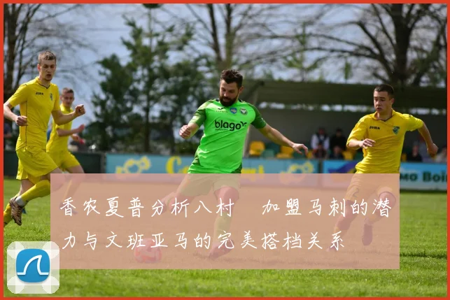 香农夏普分析八村塁加盟马刺的潜力与文班亚马的完美搭档关系